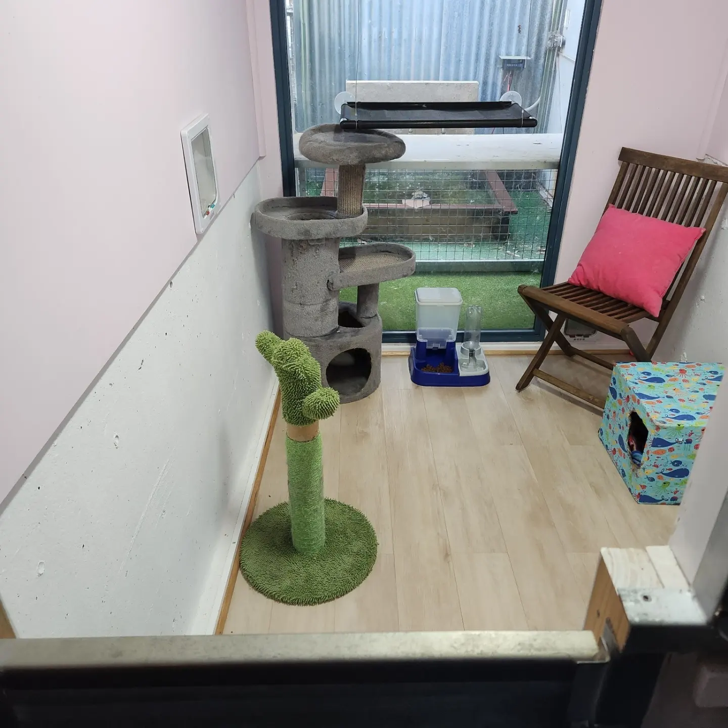 Lions Lick Cat Boarding accommodation area