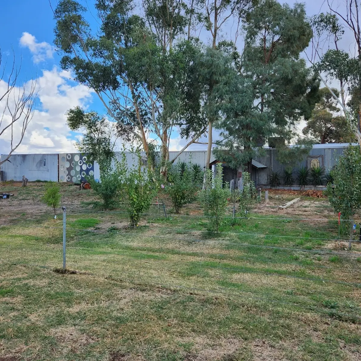 Cat enjoying their stay