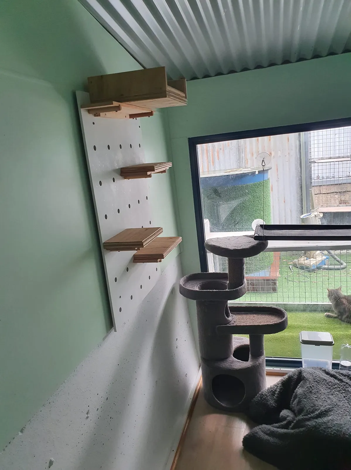 Cattery facility